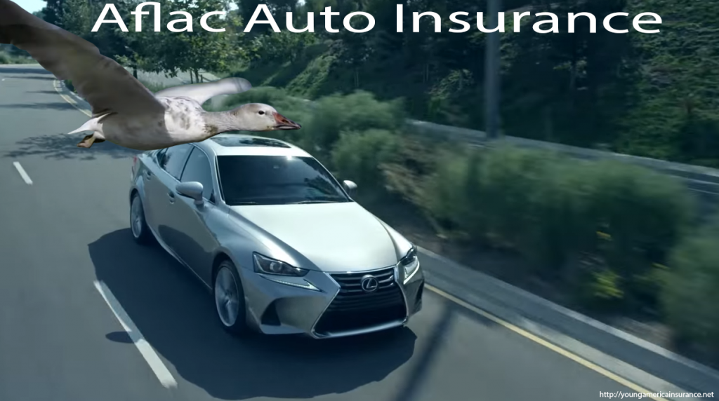 AFLAC Car Insurance 