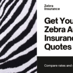 zebra auto insurance quotes