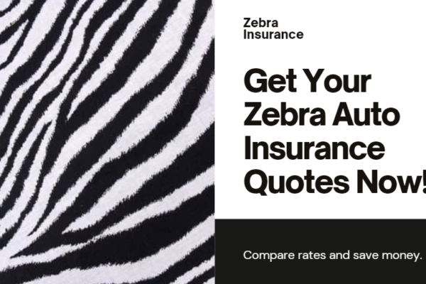 zebra auto insurance quotes