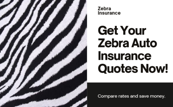 zebra auto insurance quotes