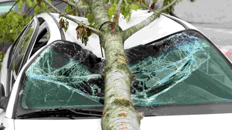 What is comprehensive car insurance?