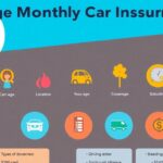 car insurance costs per month