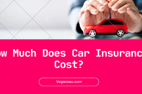 Car Insurance Cost