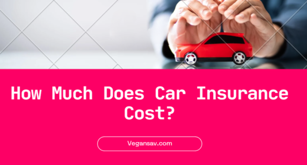 Car Insurance Cost