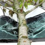 cheap liability car insurance