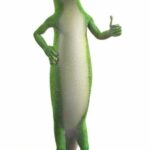 Geico commercial auto insurance