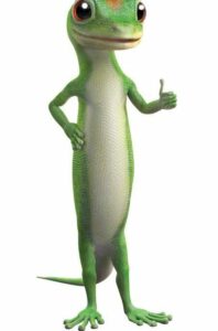 Geico commercial auto insurance