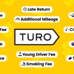 turo insurance