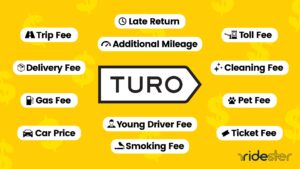 turo insurance