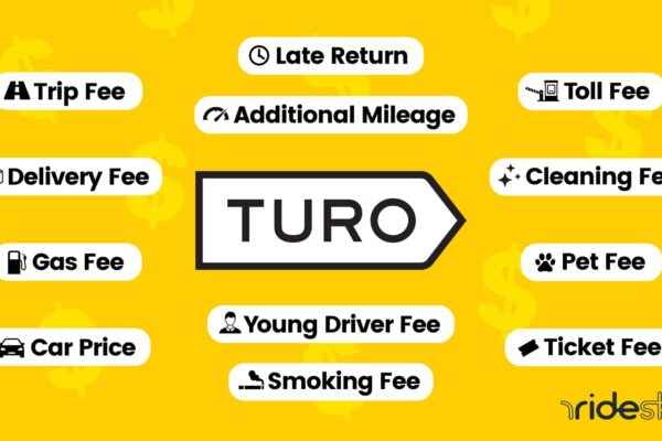 turo insurance