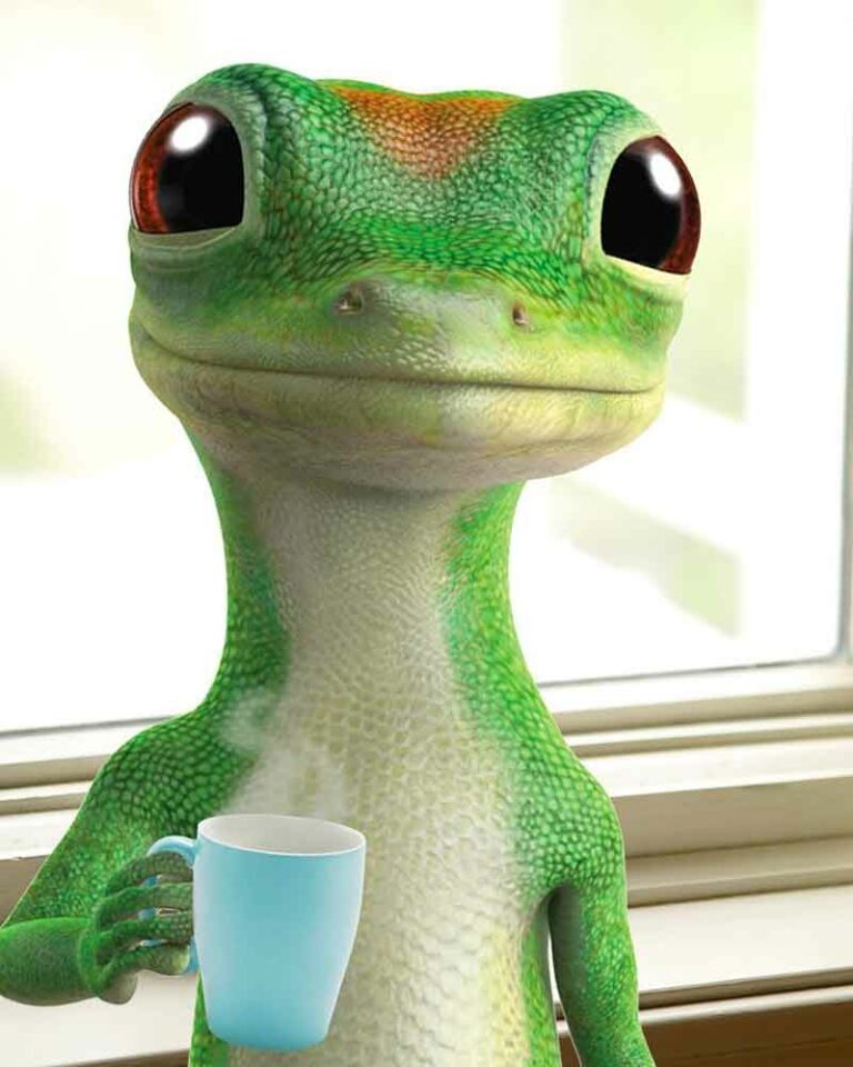 How to Get a Geico Quote