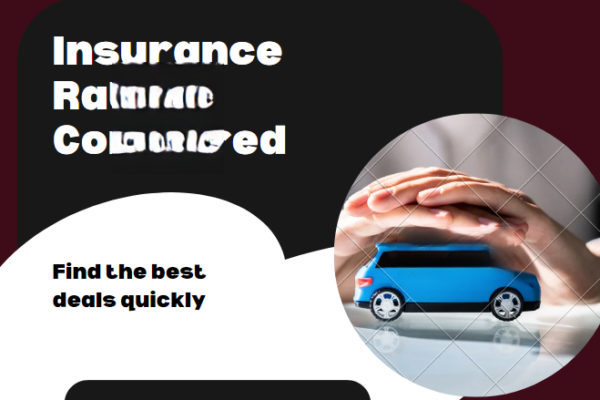 car insurance rates