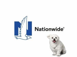 nationwide pet insurance