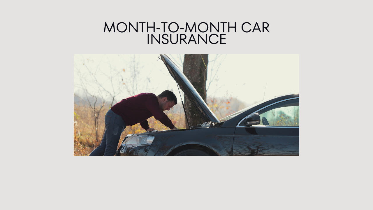month-to-month car insurance