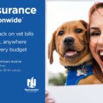 Pet Insurance by Nationwide