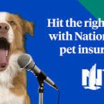 Dog Health Insurance