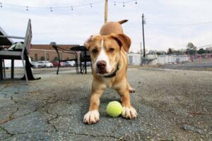 seagroves nationwide insurance