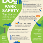 pet insurance nationwide