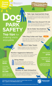 pet insurance nationwide