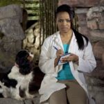 nationwide dog insurance