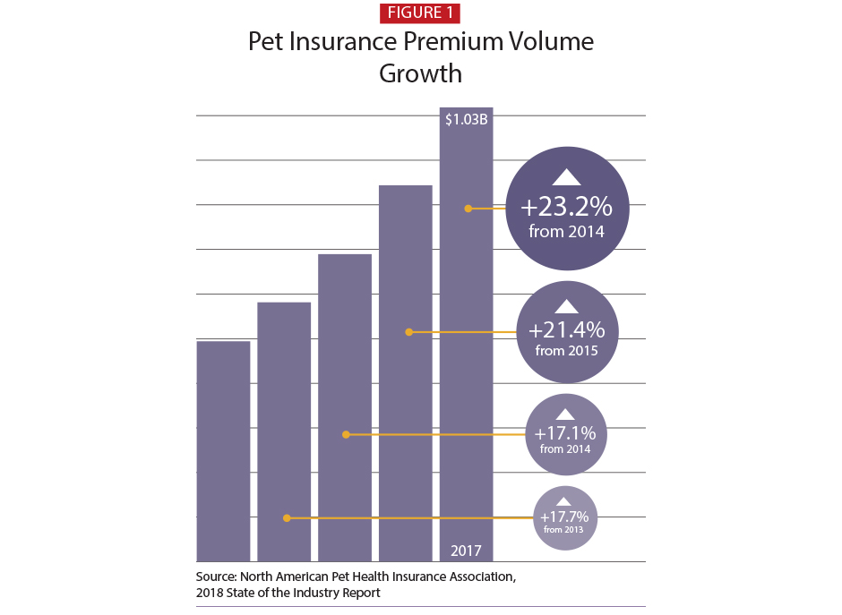 nationwide dog insurance plans