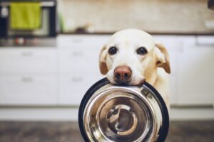 nationwide appliance insurance