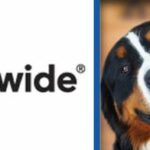 nationwide pet plans