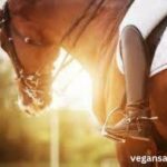 nationwide equine insurance