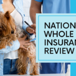 nationwide whole pet insurance