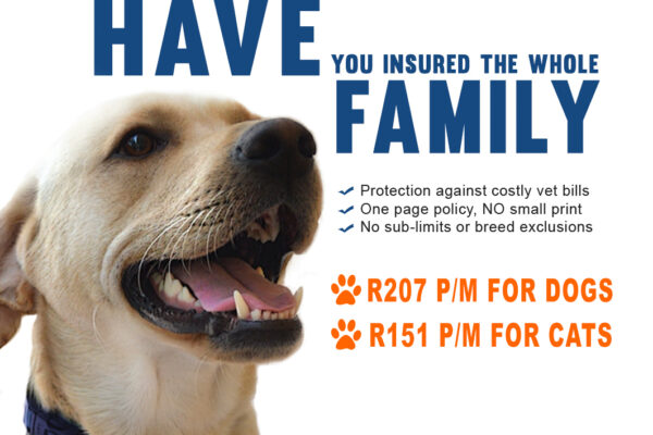 whole pet insurance
