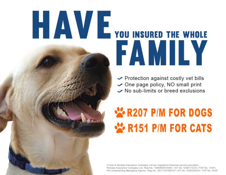 Whole Pet Insurance – What You Need to Know