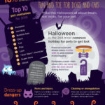 exotic pet insurance nationwide