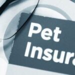 nationwide pet insurance