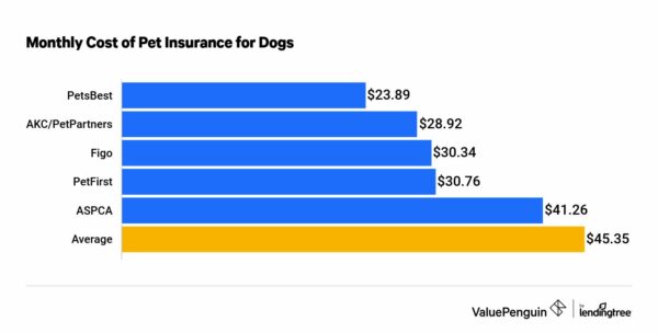 cost of nationwide pet insurance