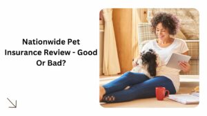 nationwide pet insurance