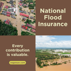 national flood insurance
