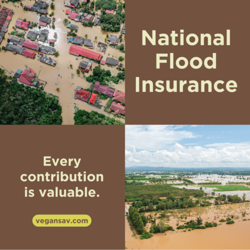 national flood insurance