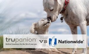 nationwide pet insurance major medical