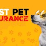 my pet insurance nationwide