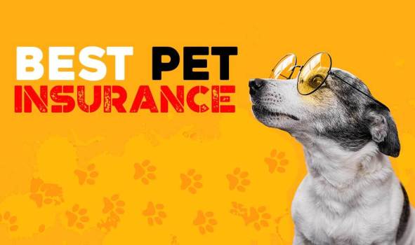 my pet insurance nationwide