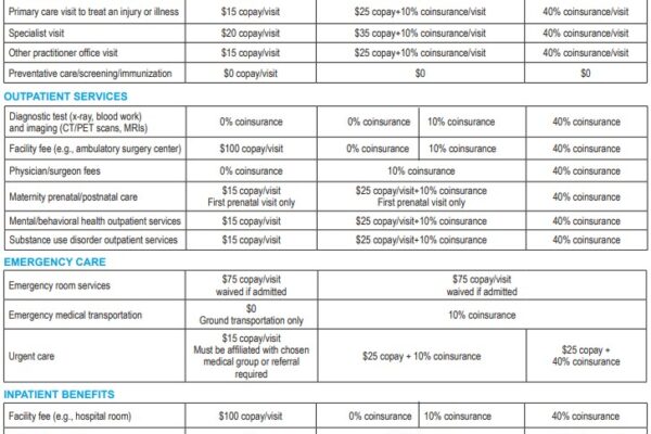 nationwide ppo plan