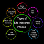 endowment life insurance