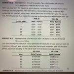 renewable term life insurance