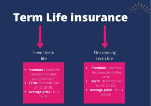 Term Life Insurance