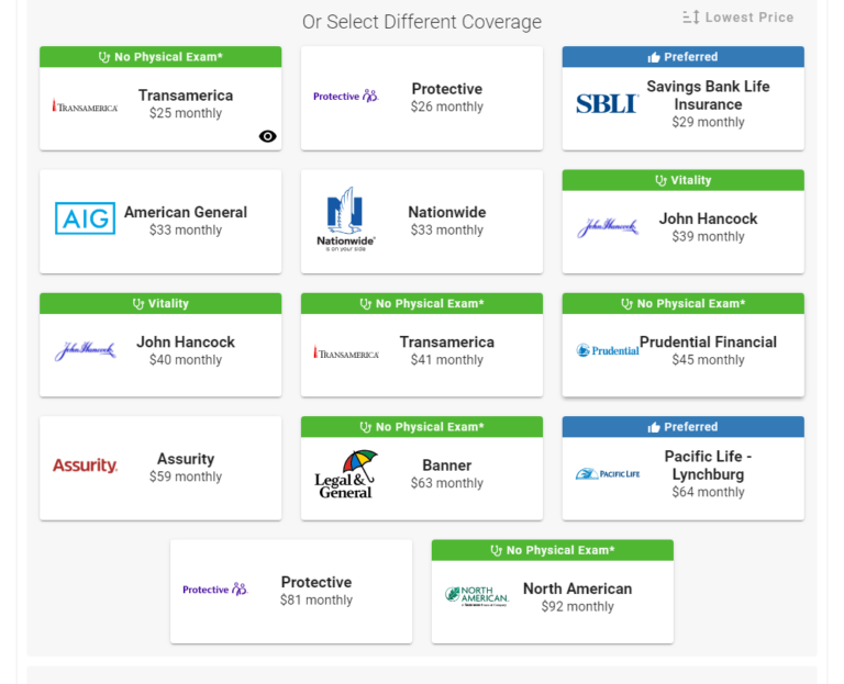 What Is Term Life Insurance?