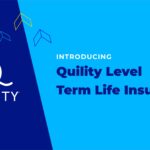 Level Term Insurance