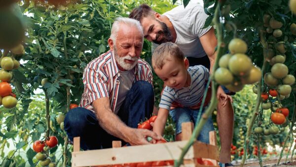 Mutual of Omaha Whole Life Insurance