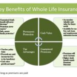 Whole Life Insurance