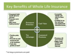 Whole Life Insurance