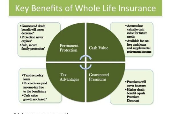 Whole Life Insurance